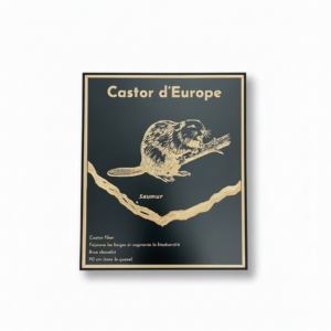 Tableau CASTOR – Animal de Loire en gravure sur bois, fond noir – Standard