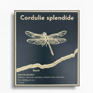 Tableau CORDULIE – Animal de Loire en gravure sur bois, fond noir – Standard