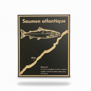 Tableau SAUMON – Animal de Loire en gravure sur bois, fond noir – Standard